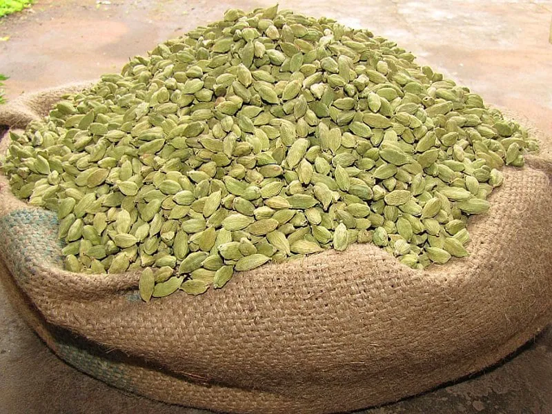 A jute sack opened out and heaped with dried green cardamom capsules