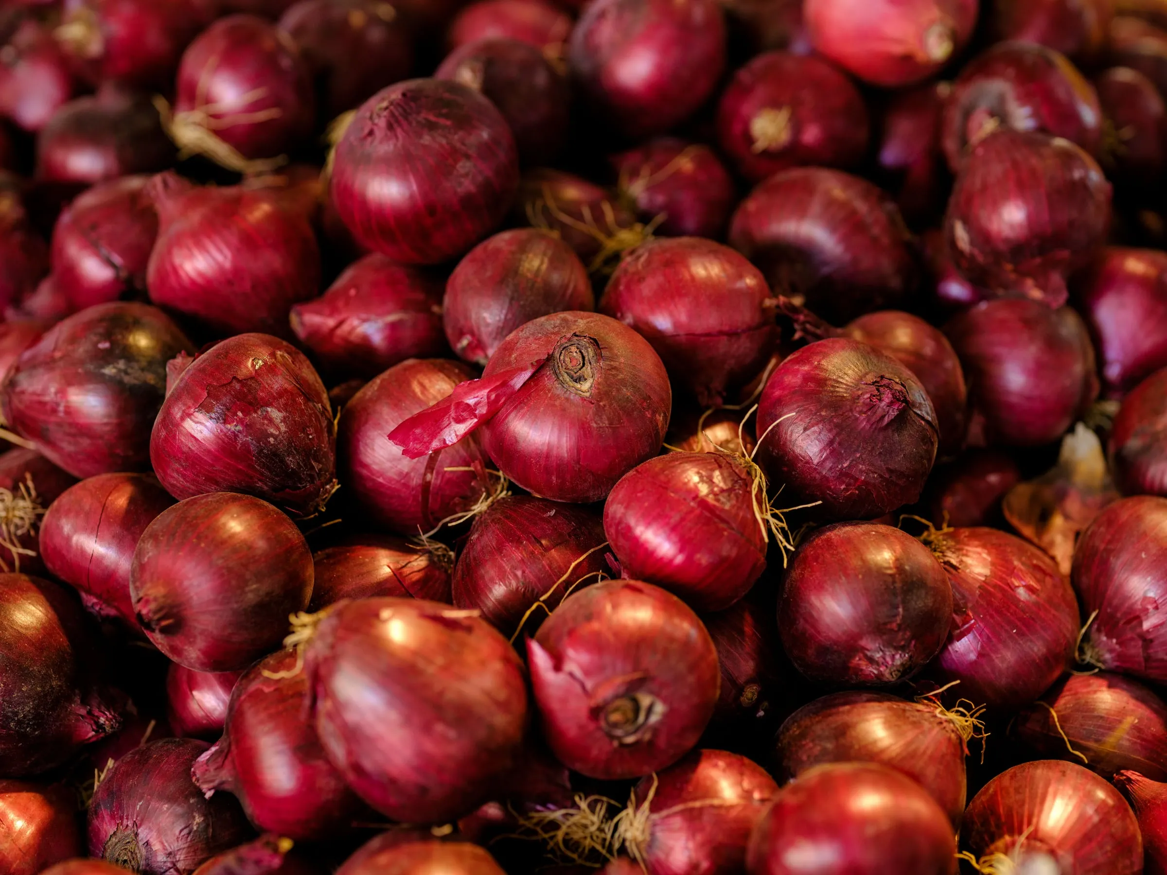 Red onions filling the frame, their papery skins catching the light