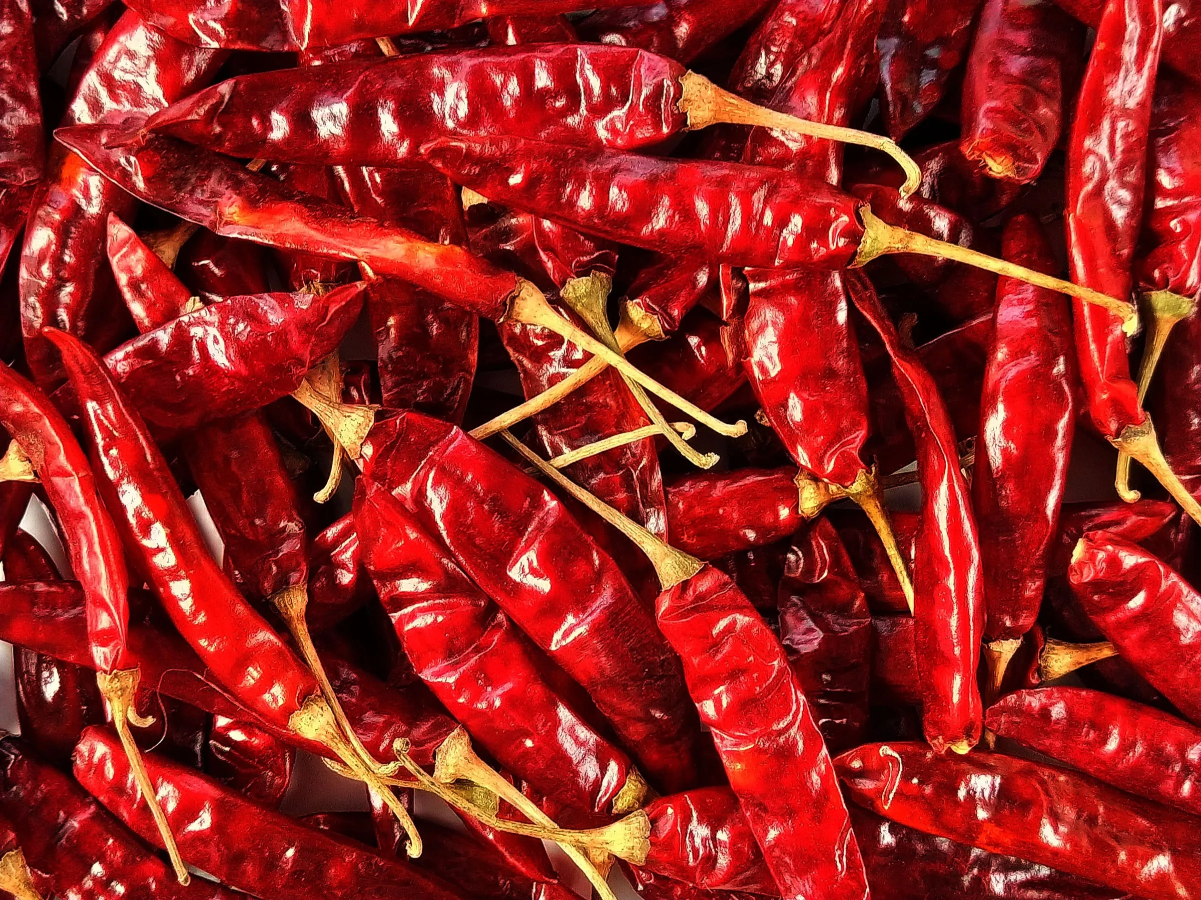 Dried red chillies filling the frame, stems attached and skins glossy and wrinkled