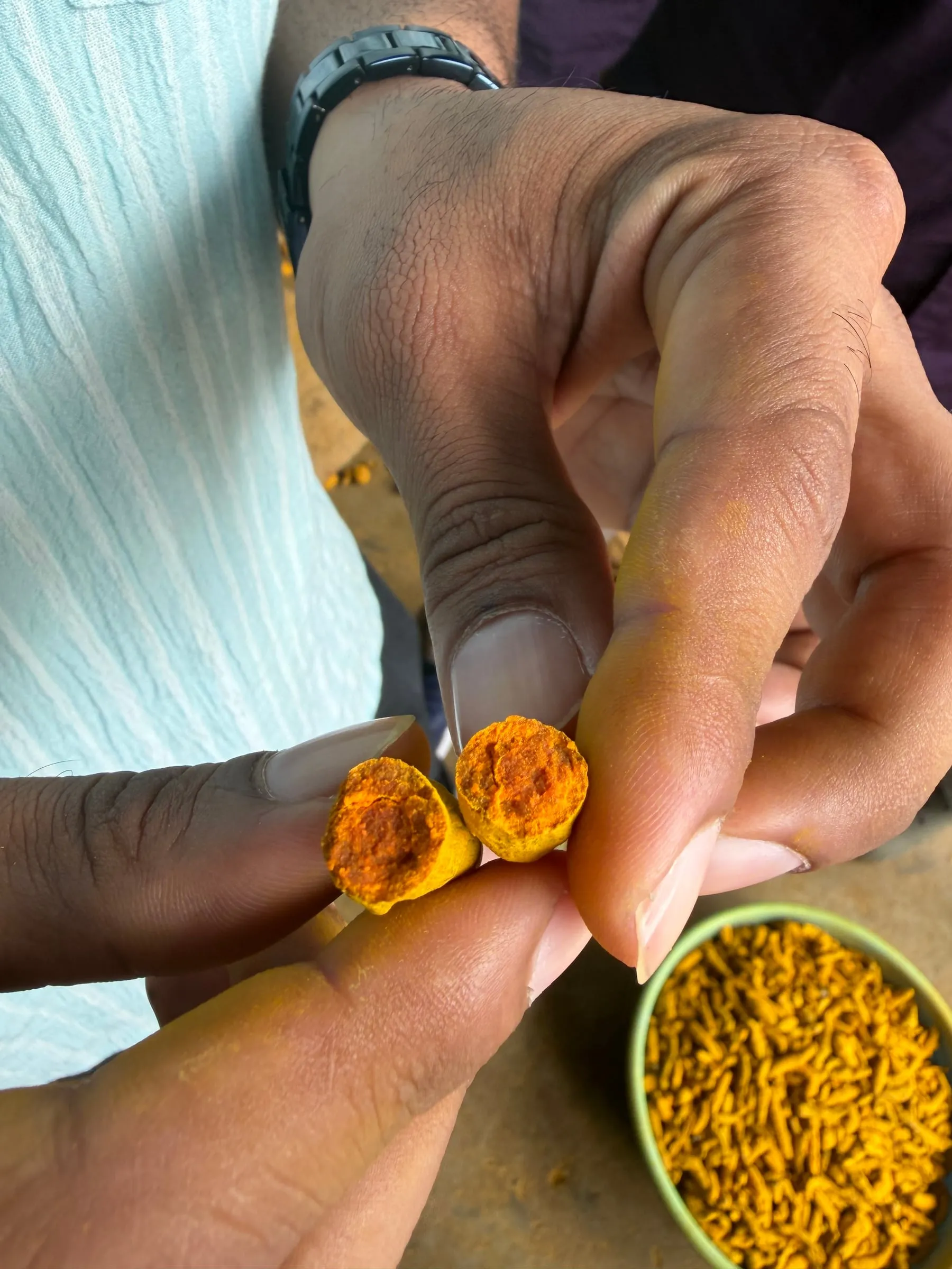 Two hands snapping a dried turmeric finger in half to show the deep orange core, with a bowl of dried fingers below